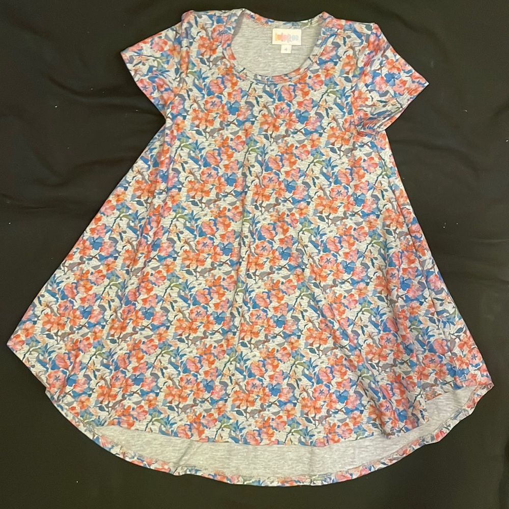 LulaRoe Dress. size 4